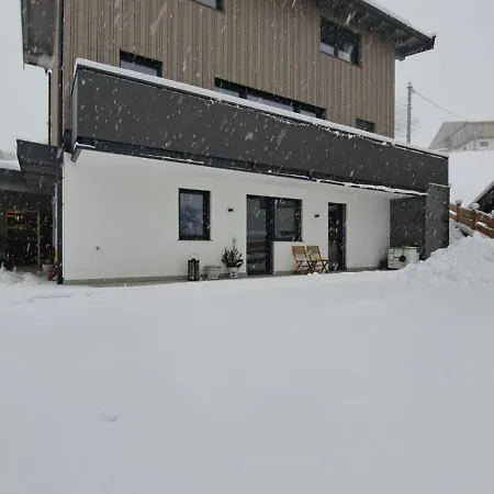 Apartment The One Kirchberg in Tirol