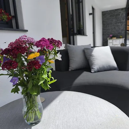 Apartment The One Kirchberg in Tirol