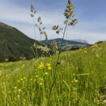 The One Apartment Kirchberg in Tirol