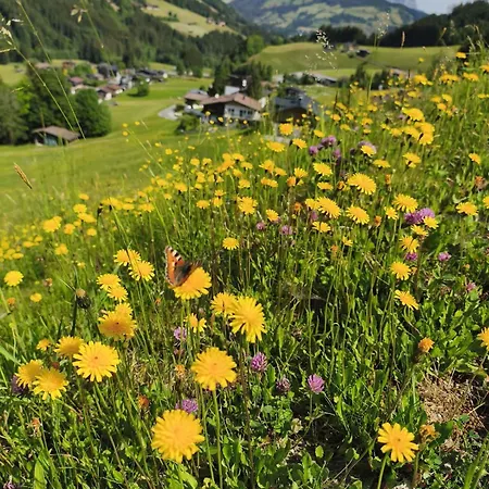 The One Apartment Kirchberg in Tirol